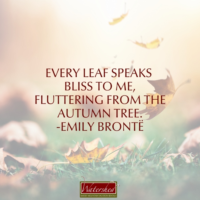 63 Fall Season Quotes - Best Sayings About Autumn