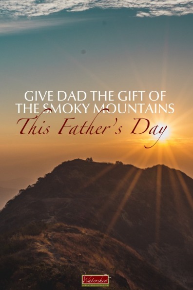 Give Dad the Gift of the Smoky Mountains This Father’s Day Pinterest | Watershed Cabins Bryson City Cabin Rentals